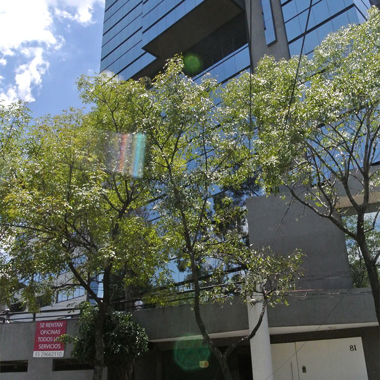 Oficinas corporativas USP Seguridad Privada